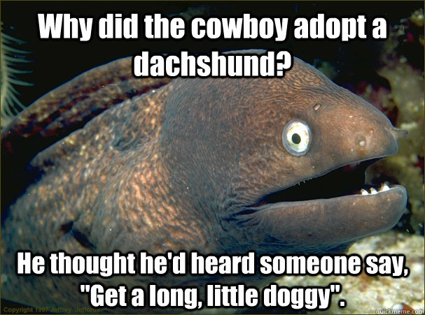 Why did the cowboy adopt a dachshund? He thought he'd heard someone say, 
