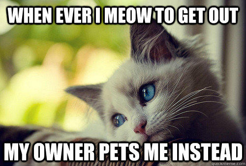 When ever I meow to get out My owner pets me instead  