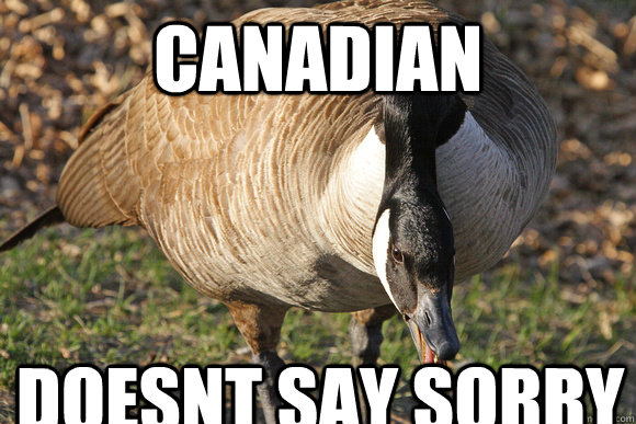 Canadian Doesnt Say sorry  Angry Goose