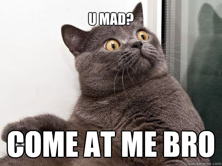 U mad? come at me bro - U mad? come at me bro  conspiracy cat