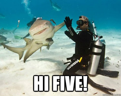  hi five!  Positive Encouragement Shark