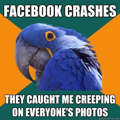 facebook crashes they caught me creeping on everyone's photos  Paranoid Parrot