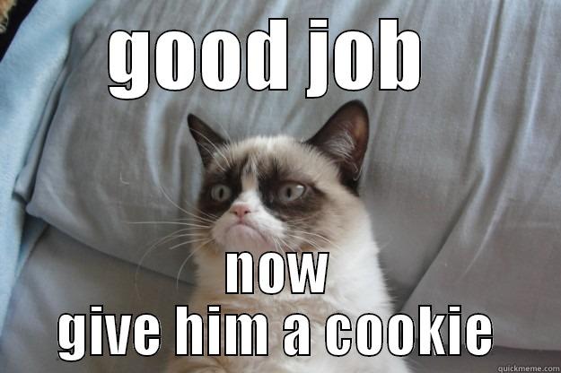 GOOD JOB  NOW GIVE HIM A COOKIE Grumpy Cat