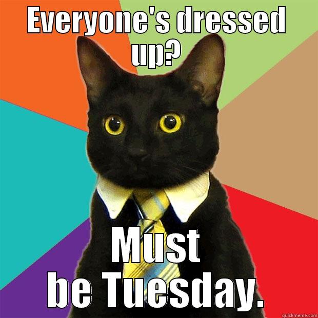 EVERYONE'S DRESSED UP? MUST BE TUESDAY. Business Cat