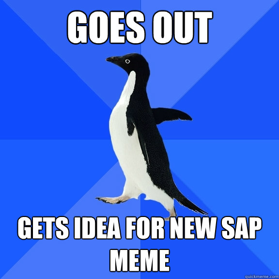 Goes out Gets idea for new SAP meme  Socially Awkward Penguin