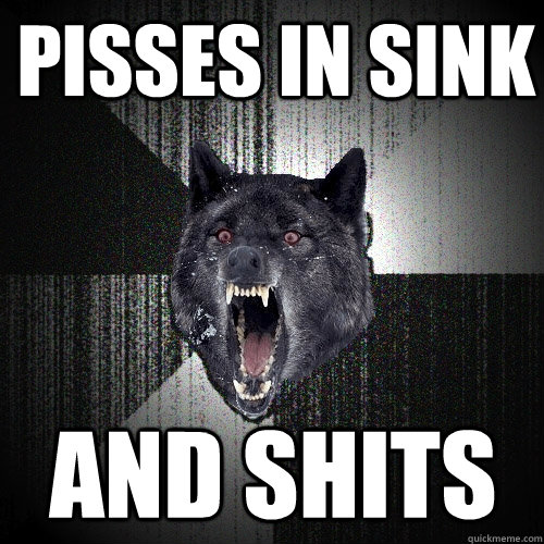 Pisses in sink and shits  Insanity Wolf