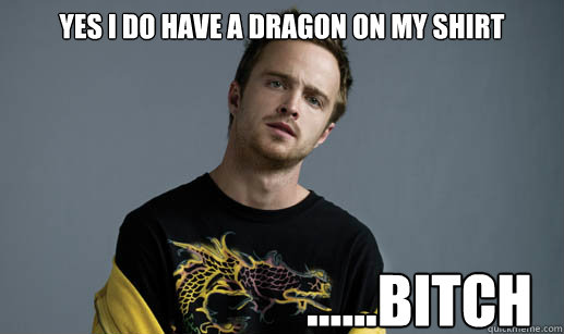 yes i do have a dragon on my shirt ......bitch  Jesse Pinkman Loves the word Bitch
