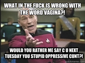 what in the fuck is wrong with the word vagina?! would you rather me say c u next Tuesday you stupid oppressive cunt?!  Annoyed Picard