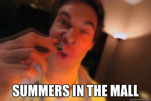  Summers in the Mall  Workaholics