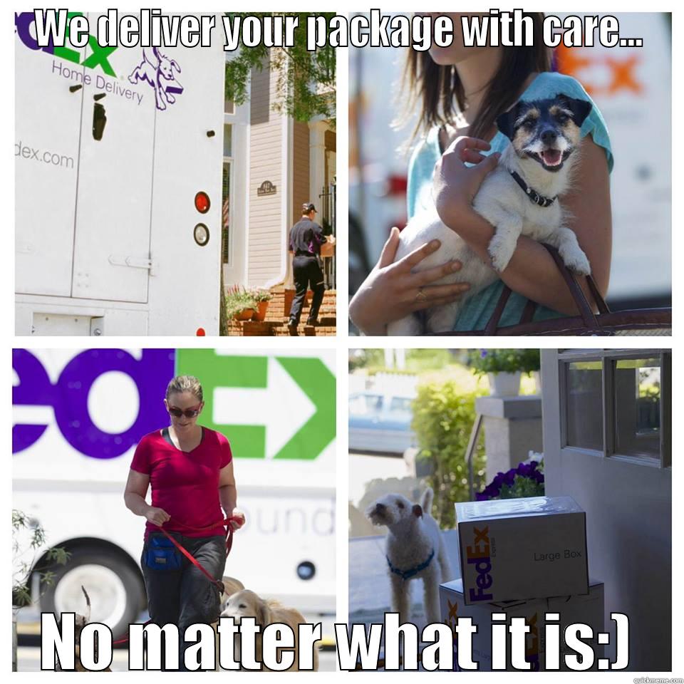 Fed X - WE DELIVER YOUR PACKAGE WITH CARE... NO MATTER WHAT IT IS:) Misc