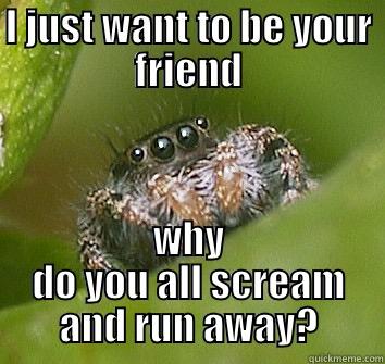 I JUST WANT TO BE YOUR FRIEND WHY DO YOU ALL SCREAM AND RUN AWAY? Misunderstood Spider