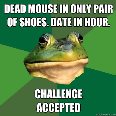 dead mouse in only pair of shoes. date in hour. challenge
accepted  Foul Bachelor Frog