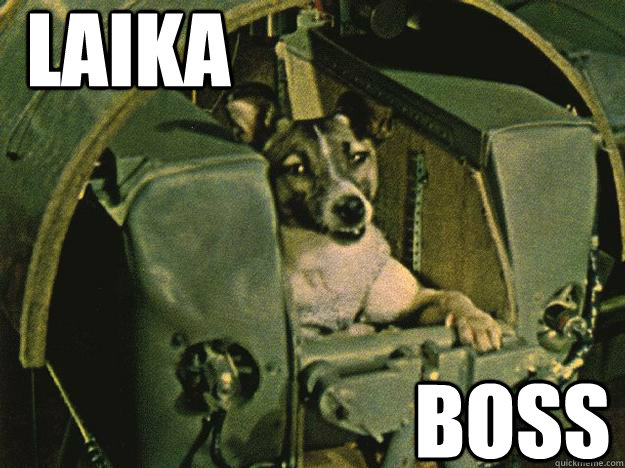 Laika Boss  