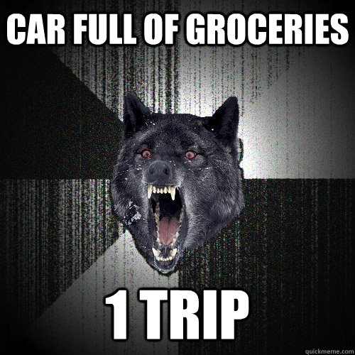 car full of groceries 1 trip  Insanity Wolf