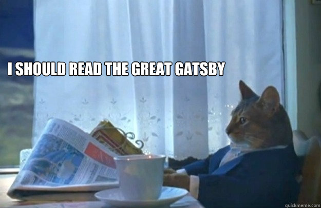 I should read The Great Gatsby   Sophisticated Cat