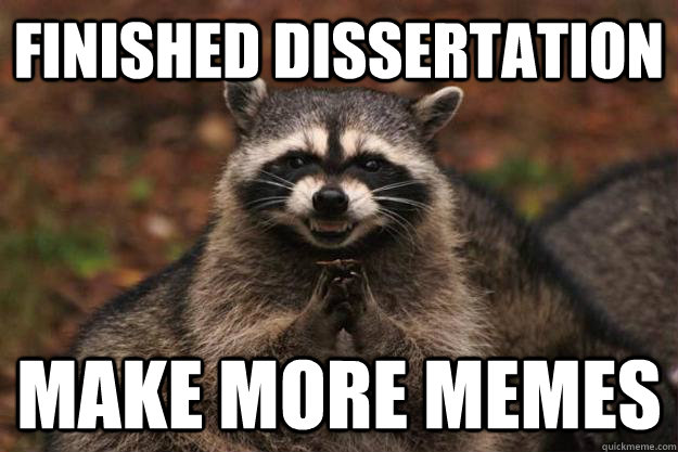 Finished Dissertation Make more memes - Finished Dissertation Make more memes  Evil Plotting Raccoon