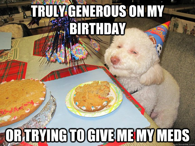 truly generous on my birthday or trying to give me my meds - truly generous on my birthday or trying to give me my meds  Skeptical Dog