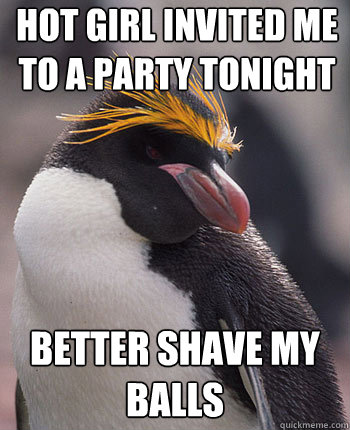 Hot girl invited me to a party tonight Better shave my balls  Socially Overconfident Penguin
