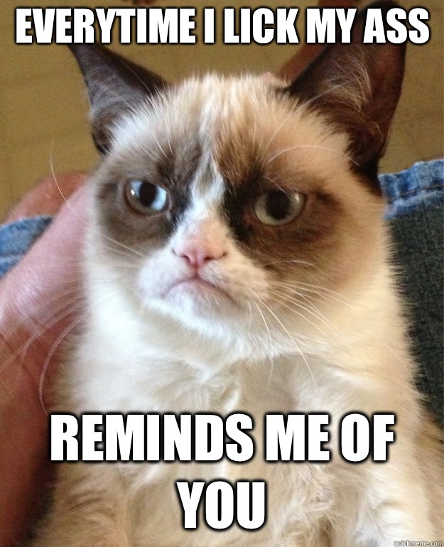 Everytime I lick my ass Reminds me of you  Grumpy Cat