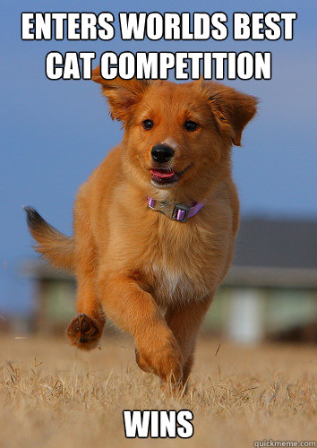 Enters worlds best cat competition WINS - Enters worlds best cat competition WINS  Ridiculously Photogenic Puppy