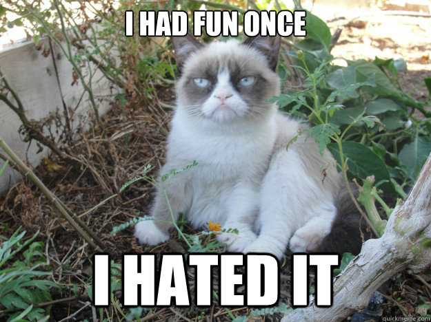 I had fun once I hated it - I had fun once I hated it  Misc