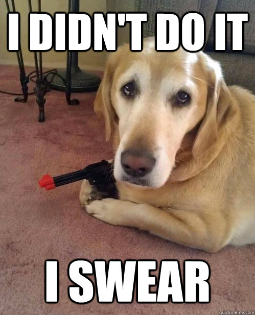 I didn't do it I swear - I didn't do it I swear  Confession Hound