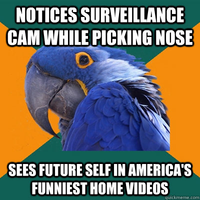 NOTICES SURVEILLANCE CAM WHILE PICKING NOSE SEES FUTURE SELF IN AMERICA'S FUNNIEST HOME VIDEOS   Paranoid Parrot