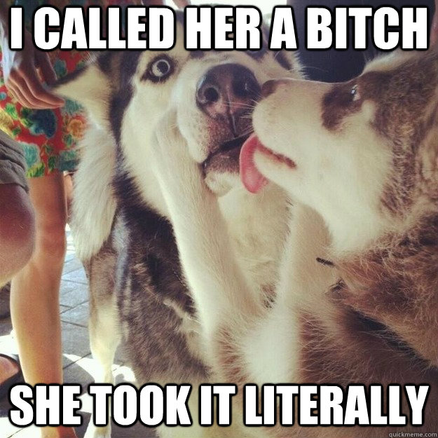 I called her a bitch she took it literally  Relationship Dog