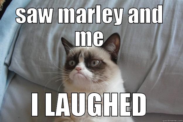 SAW MARLEY AND ME I LAUGHED Grumpy Cat