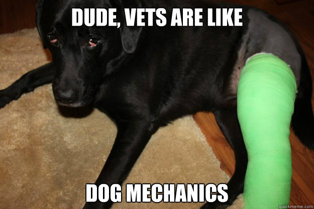 DUDE, Vets are like DOG MECHANICS - DUDE, Vets are like DOG MECHANICS  Misc