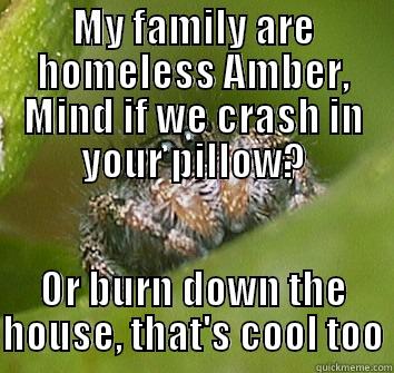 MY FAMILY ARE HOMELESS AMBER, MIND IF WE CRASH IN YOUR PILLOW? OR BURN DOWN THE HOUSE, THAT'S COOL TOO Misunderstood Spider