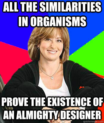 All the similarities in organisms prove the existence of an almighty designer  Sheltering Suburban Mom