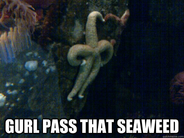  GURL PASS THAT SEAWEED  Sassy Starfish