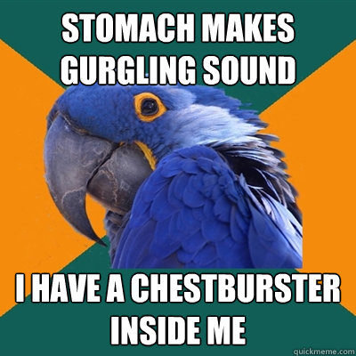 Stomach makes gurgling sound i have a chestburster inside me  Paranoid Parrot