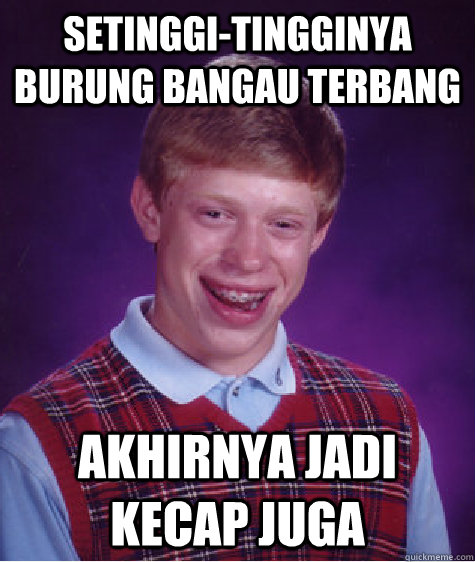 Setinggi-tingginya burung bangau terbang akhirnya jadi kecap juga  Bad Luck Brian