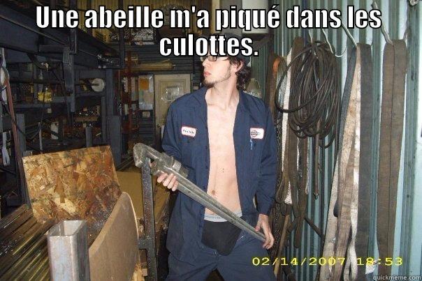 UNE ABEILLE M'A PIQUÉ DANS LES CULOTTES.  Misc