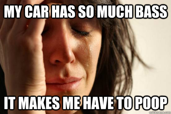 My Car has so much bass  it makes me have to poop  First World Problems