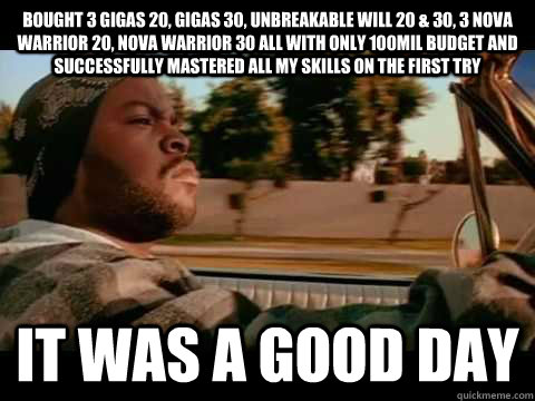 Bought 3 Gigas 20, Gigas 30, Unbreakable Will 20 & 30, 3 Nova Warrior 20, Nova Warrior 30 all with only 100mil budget and successfully mastered all my skills on the first try it was a good day  Good day cube