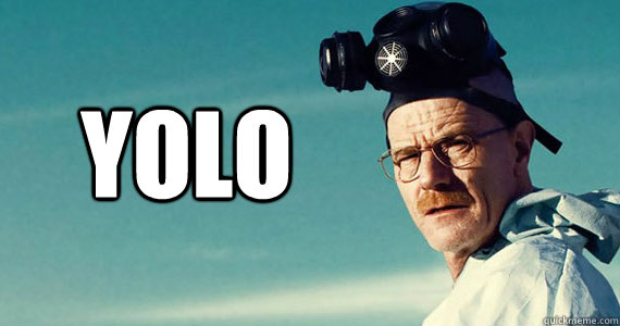 YOLO
 - YOLO
  Walter white