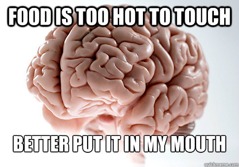 FOOD IS TOO HOT TO TOUCH BETTER PUT IT IN MY MOUTH - FOOD IS TOO HOT TO TOUCH BETTER PUT IT IN MY MOUTH  Scumbag Brain