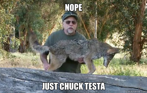 NOPE JUST CHUCK TESTA  