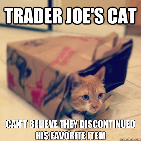 TRADER JOE'S CAT can't believe they discontinued his favorite item  Trader Joes Cat