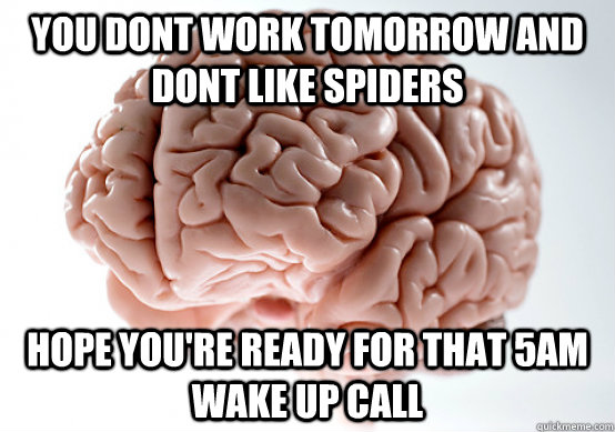 YOu dont work tomorrow and dont like spiders hope you're ready for that 5am wake up call  Scumbag Brain make you late to work