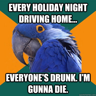 Every holiday night driving home... EVERYONE'S DRUNK. I'm gunna die.  Paranoid Parrot