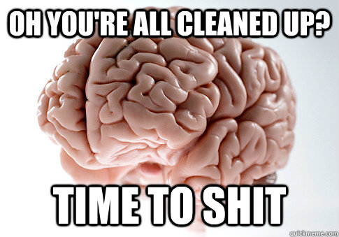 OH YOU'RE ALL CLEANED UP? TIME TO SHIT - OH YOU'RE ALL CLEANED UP? TIME TO SHIT  Scumbag Brain