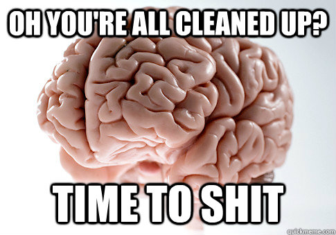 OH YOU'RE ALL CLEANED UP? TIME TO SHIT  Scumbag Brain