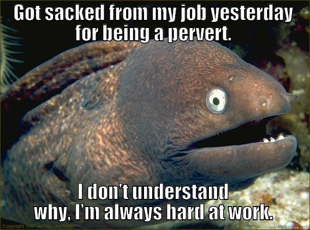 GOT SACKED FROM MY JOB YESTERDAY FOR BEING A PERVERT. I DON’T UNDERSTAND WHY, I’M ALWAYS HARD AT WORK. Bad Joke Eel