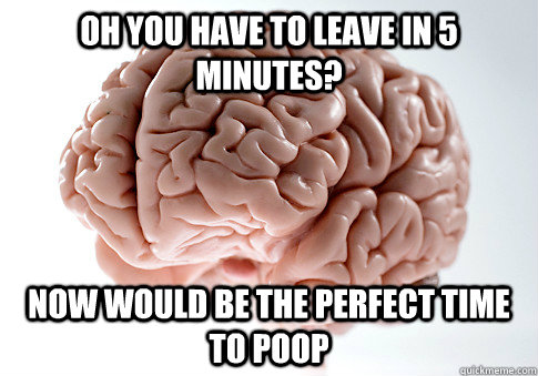 Oh you have to leave in 5 minutes? now would be the perfect time to poop - Oh you have to leave in 5 minutes? now would be the perfect time to poop  Scumbag Brain