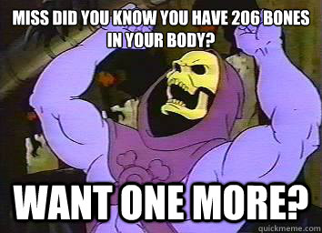 miss did you know you have 206 bones in your body? Want one more?  Skeletor