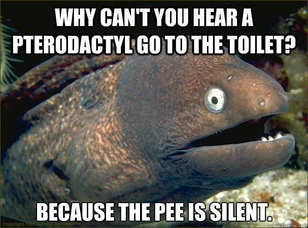 Why can't you hear a Pterodactyl go to the toilet? Because the pee is silent.  Bad Joke Eel